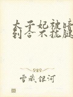 太子妃被暗卫C到合不拢腿