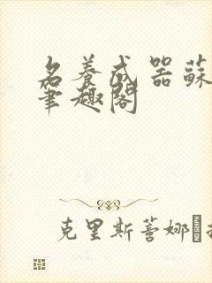 名养成器苏沫沫笔趣阁封面