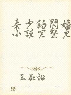 秦少的闪婚娇妻小说完整免费封面
