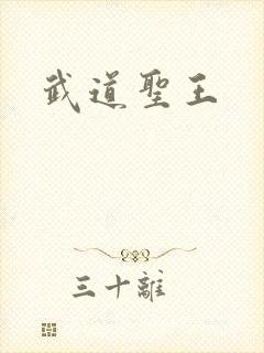 武道圣王