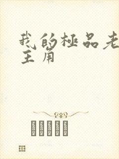 我的极品老婆女主角