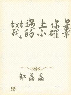 txt遇上你是我的小确幸封面