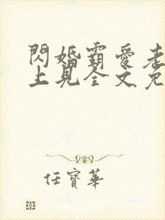 闪婚霸爱老婆晚上见全文免费阅读封面