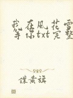 我在风花雪月里等你txt完整版封面