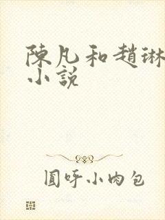 陈凡和赵琳琳的小说