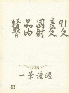 精品国产91蜜臀内射久久封面