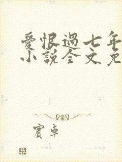 爱恨过七年原著小说全文免费阅读