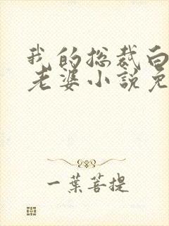 我的总裁白富美老婆小说免费未删版下载