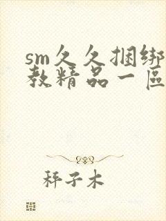 sm久久捆绑调教精品一区