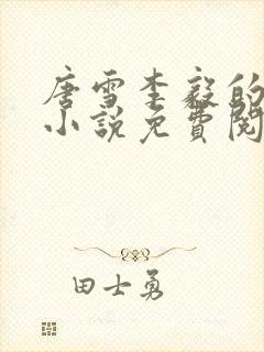 唐雪李毅的重生小说免费阅读封面