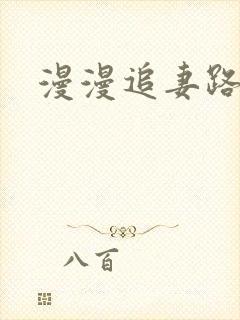 漫漫追妻路阅读