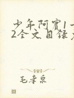 少年阿宾1一72全文目录免费下载