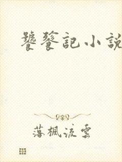 饕餮记小说