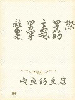 双男主星际文受是穿越的