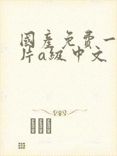 国产免费一级淫片a级中文