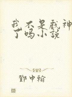 我不是戏神完结了吗小说