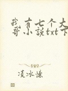 我有七个大佬哥哥小说txt下载