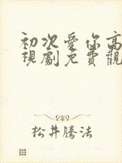 初次爱你高清电视剧免费观看