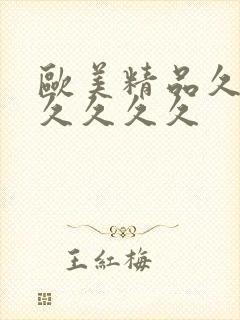 欧美精品久久久久久久久