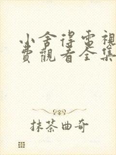 小舍得电视剧免费观看全集剧情封面