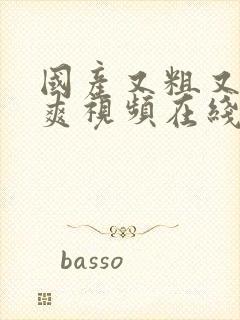 国产又粗又猛又爽视频在线观看封面