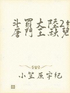 斗罗大陆2绝世唐门王秋儿