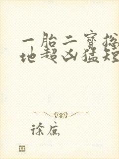 一胎二宝总裁爹地超凶猛短剧