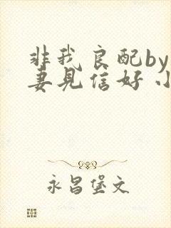 非我良配by吾妻见信好 小说免费阅读