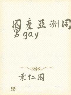 国产亚洲同性男男gay
