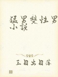 猛男双性男男生小说