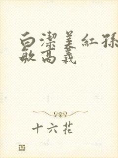 白洁美红孙倩赵敏高义