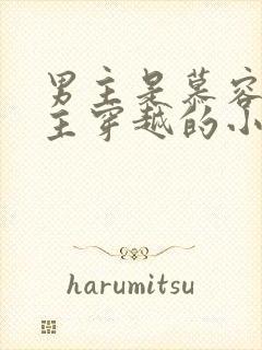 男主是慕容冲女主穿越的小说