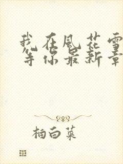 我在风花雪月里等你最新章节新