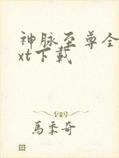 神脉至尊全文txt下载