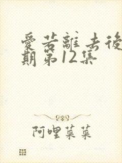 爱若离去后会无期第12集封面