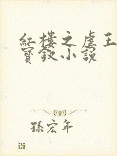 红楼之虐王夫人宝钗小说