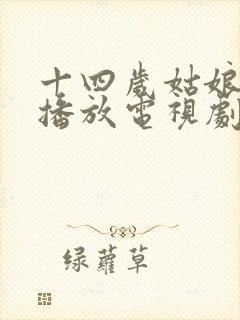 十四岁姑娘免费播放电视剧高清封面