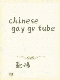 chinese gay gv tube封面
