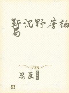 靳沉野唐栖雾结局