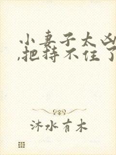 小妻子太凶陆爷,把持不住了免费阅读结局封面