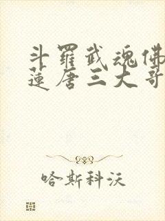 斗罗武魂佛怒唐莲唐三大哥免费阅读封面