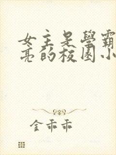 女主是学霸又漂亮的校园小说