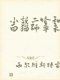 小说二哈和他的白猫师尊未删减版封面