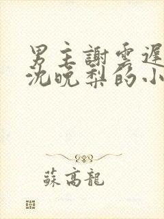 男主谢云迟女主沈晚梨的小说免费阅读封面