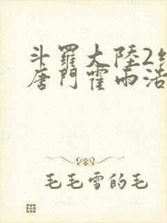 斗罗大陆2绝世唐门霍雨浩王冬儿
