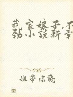 我家娘子,不对劲小说新章节列表封面