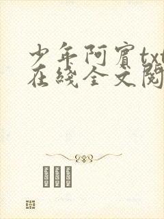 少年阿宾txt在线全文阅读