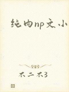 纯肉np文小说封面