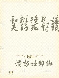 和离后我嫁给前夫的死对头小说