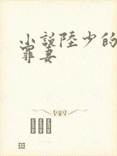 小说陆少的隐婚罪妻